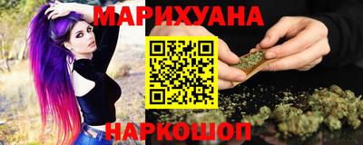гашик Будённовск